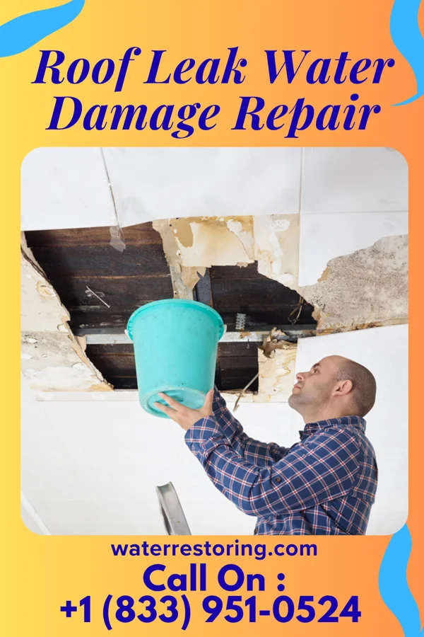 Roof Leak Water Damage Repair in Antelope, OR